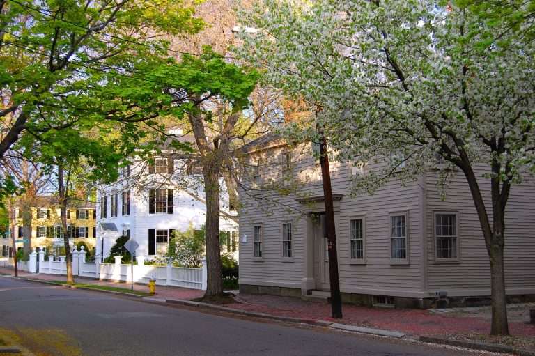A quiet residential street with historic houses, flowering trees, and a white picket fence. Sunlight filters through green and blooming branches, casting dappled shadows on the sidewalk and brick pathway.
